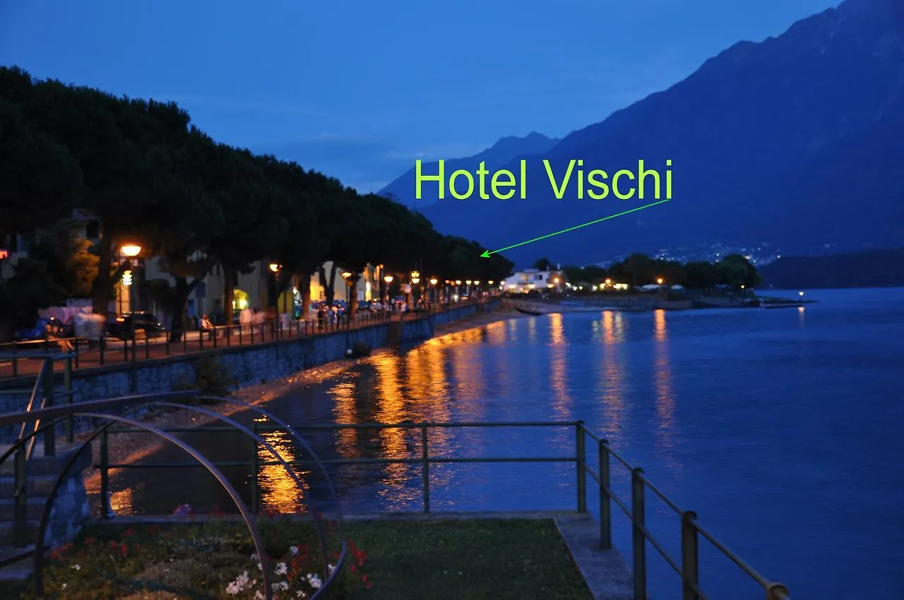 Hotel Vischi Domaso 3*,