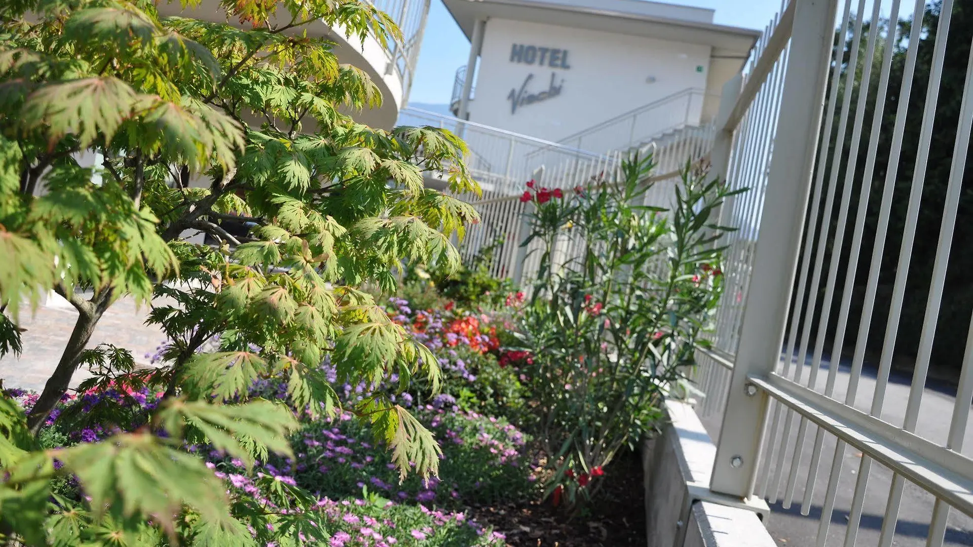 Hotel Vischi Domaso 3*,
